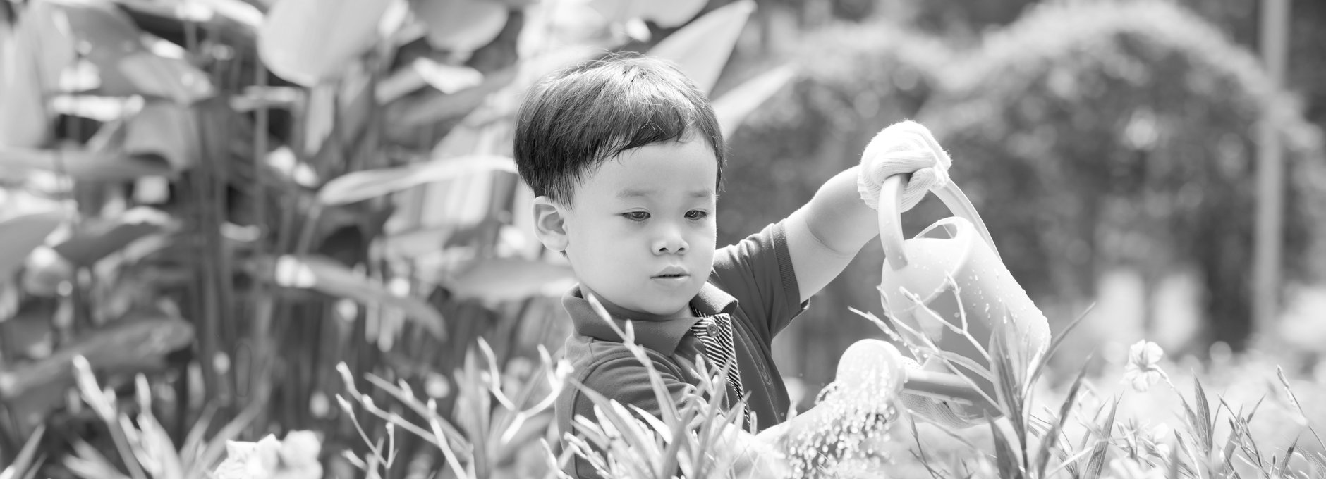 Kleiner Junge steht inmitten von Pflanzen und Blumen. Er wässert die Pflanzen mit einer Gießkanne. Im Hintergrund sind Pflanzen mit hohen Blättern zu erkennen.